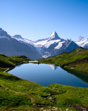 Swiss Property Company Profile Swiss Property Company Profile